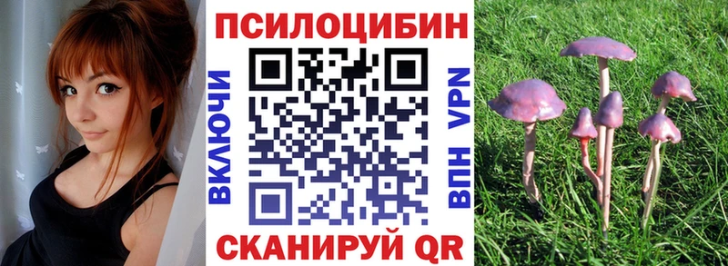 дарнет шоп  kraken tor  Галлюциногенные грибы Psilocybine cubensis  Североморск 